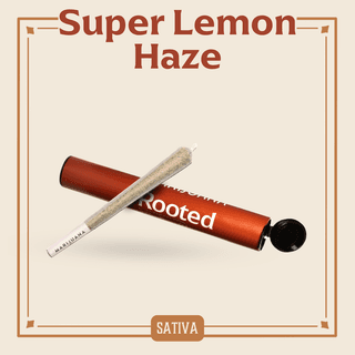 Super Lemon Haze