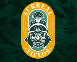 Surreal Yields | Hash Hole | Houdini OG | Hash Infused Preroll | Hybrid | 1.3g