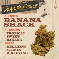 Banana Shack - 3.5g Flower