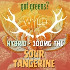 WYLD - Sour Tangerine 100mg Gummies