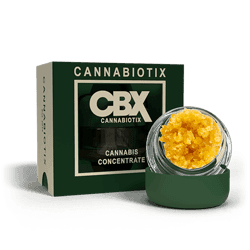 CANNABIOTIX - LIVE RESIN SUGAR - JET LAG OG - 1G