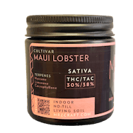 Maui Lobster I Mr. Z Craft Cannabis
