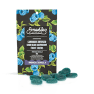 Sour Blue Raspberry Fruit Chews | 100mg