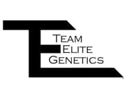 Team Elite Genetics Rosin AIO - Cream Cheese