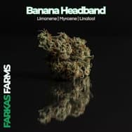 Banana Headband 14.15g