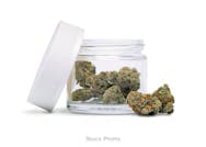 Hugh Douglas / Cap Junky / 3.5g Flower