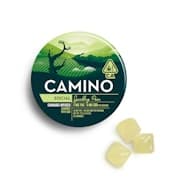 Camino - Sparkling Pear Gummies [H]