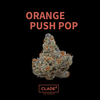 Orange Push Pop Flower