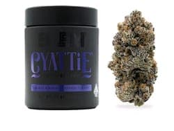 BLEM - INDOOR FLOWER - CYATTIE - 3.5G