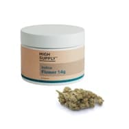 High Supply | Flower | Governmint Oasis