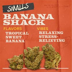 Banana Shack - 7g Smalls Flower