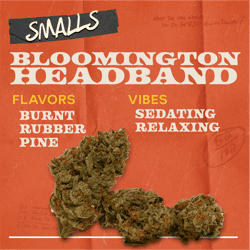 Bloomington Headband - 7g Smalls Flower