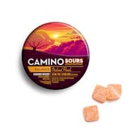 Camino Sours | Orchard Peach 1:1 | Balance | 100mg