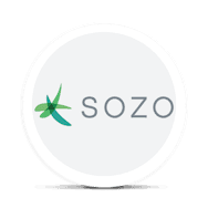 Sozo - Bulk Flower - Canal Street Runtz