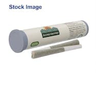 SDG OG [Two 0.5g Pre rolls] || SunMed