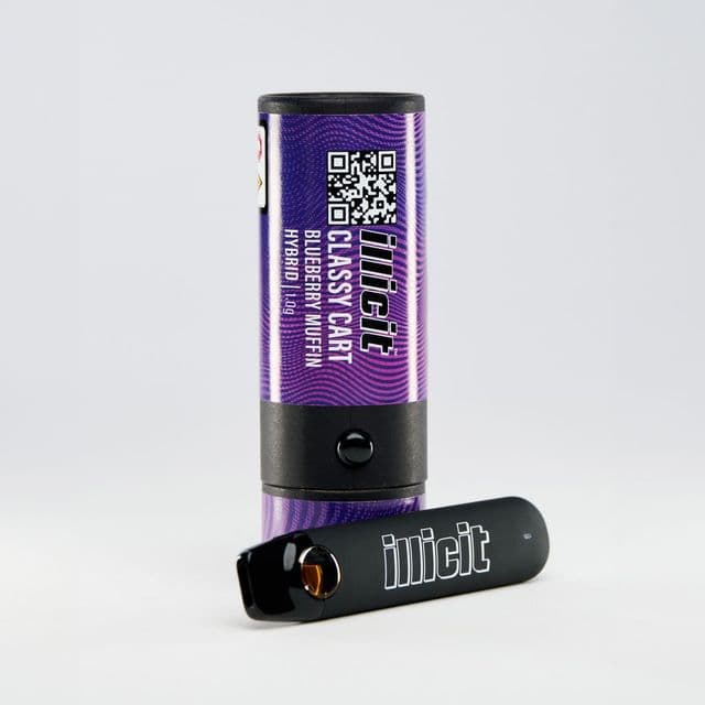 Blueberry Muffin Classy Disposable