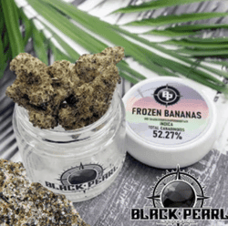 Black Pearl | Frozen Bananas | Infused Flower | Indica | 3.5G