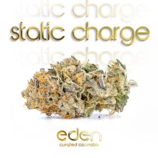 Static Charge