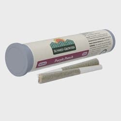 Sunmed | Pre-Roll | - Purple Punch | 0.5g x 2