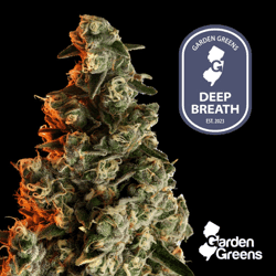 Garden Greens - Deep Breath - Big Buds 7g - Balanced Hybrid