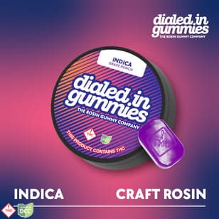 100mg - Grape Punch - Rosin Gummies (10pk)