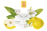 WYLD Gummies | 1:1 THC:CBG | Pear