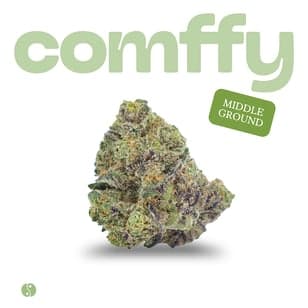 comffy - Middle Ground (H) Flower