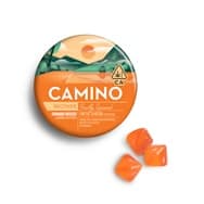 Camino 2:1 'Recover' Freshly Squeezed Gummies [20pk]