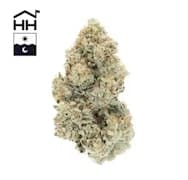 Flower - Casa - Jack's Dream
