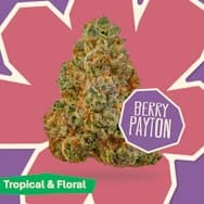 Berry Payton: Untrimmed Smalls (14g) - District Cannabis