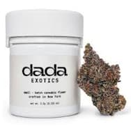 Dada | Hash Burger | Flower