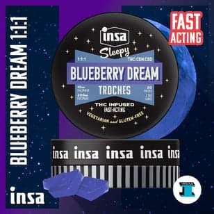 Blueberry Dream [20pk] (10mg THC/10mg CBD/10mgCBN)