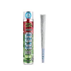 ICED - INFUSED PREROLL - APPLE FRITTER - 1.25G
