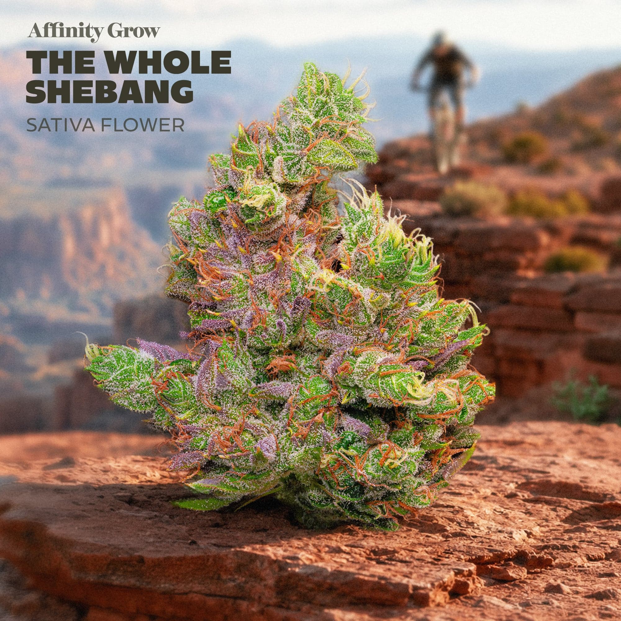 Affinity Grow - The Whole Shebang (S) Flower C0090001101