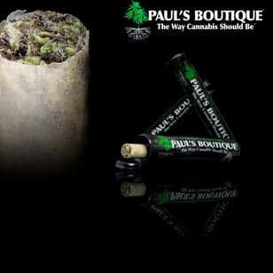 Paul's Boutique | GMO | i/h | 1g | Preroll