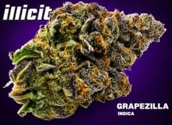 Illicit - Grapezilla - Flower - 3.5g