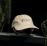 Logo Cap - Stone