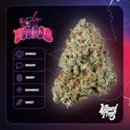 Wizard Trees | 3.5g Indoor Flower | Voodoo (H)