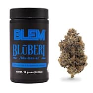 BLEM | Flower 10g | H | Bluberi