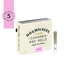 Runtz S1 - 12 Pack Infused Pre Rolls