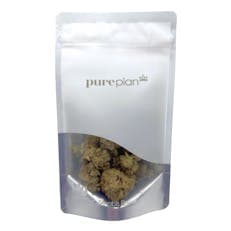 Grid City Grapes (Choice) | 14g