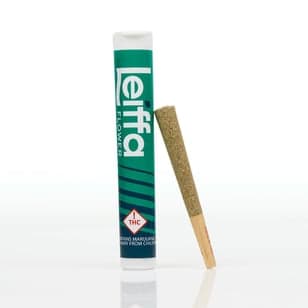 White Cindy [1g]