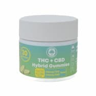 Sunset Lake | THC + CBD Pineapple Hybrid Gummies - 20ct/5mg | 100mg