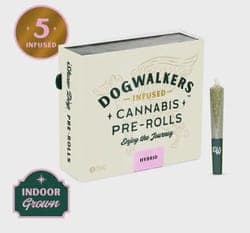 Dogwalkers | Infused Pre-Roll | - Afternoon Delight #4 | 0.45g x 5