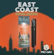 ProGro - Live Resin Disposable - East Coast Sour Diesel