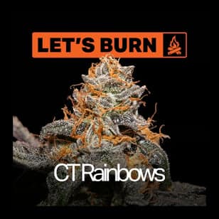 Let's Burn - Cadillac Rainbows (I) Flower C0200000075