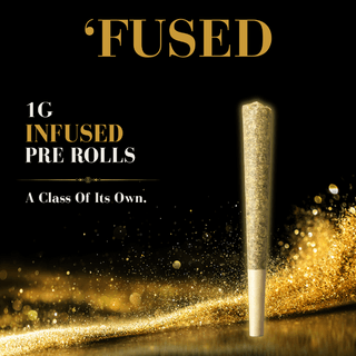 19th Hole 'FUSED Pre-Roll