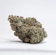 Sundae Driver - Bulk Flower- Gold