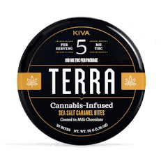 TERRA BITES - SEA SALT CARAMEL