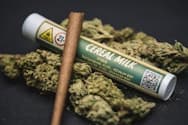 Breakfast Connections | Cereal Milk | Infused Blunt | 1g